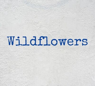 Wildflowers - 2023
