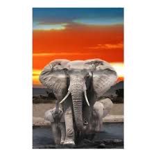 Hoffman - Elephant Digital Print Panel - 4495 - W01.4