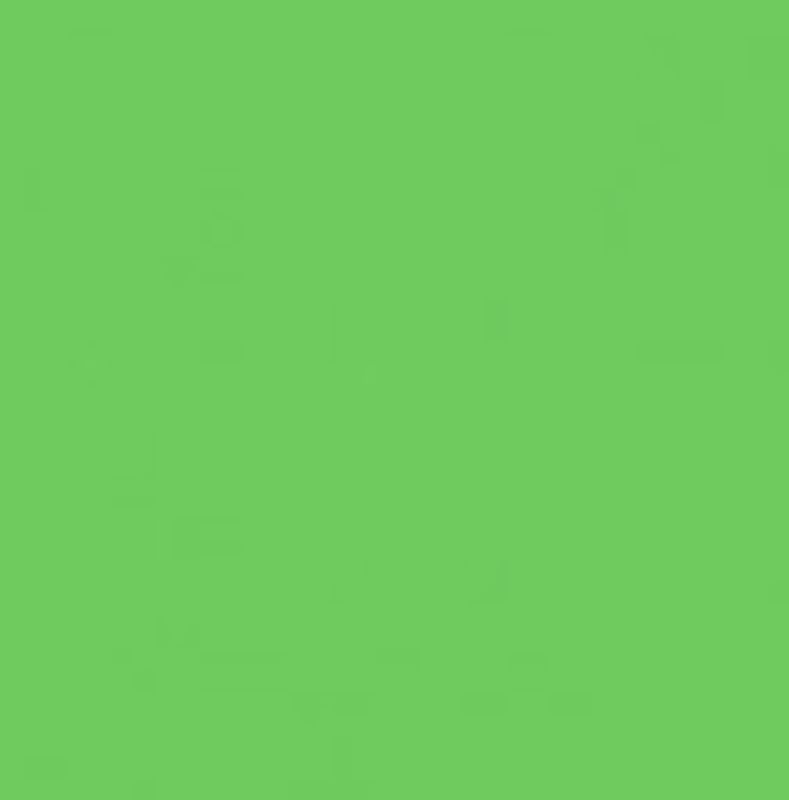 Solid - Makower Spectrum - 2000-G57 - Grass - W12.1