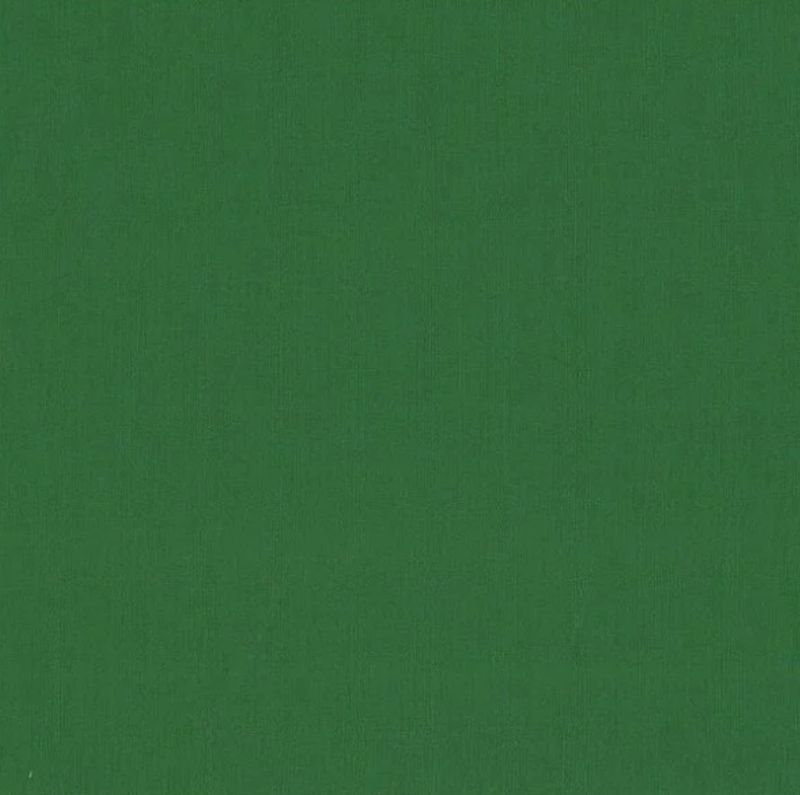 Solid - Makower Spectrum - 2000-G04 - Foliage Green - W12.1