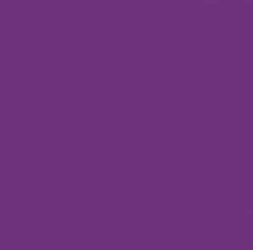 Solid - Makower Spectrum - 2000-L75 - Violet - W10.1