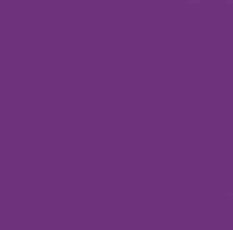 Solid - Makower Spectrum - 2000-L75 - Violet - W10.1