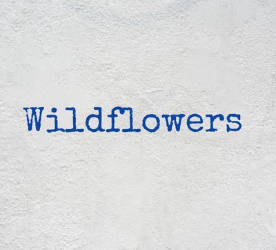 Wildflowers - 2023