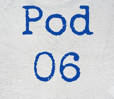 Pod 06
