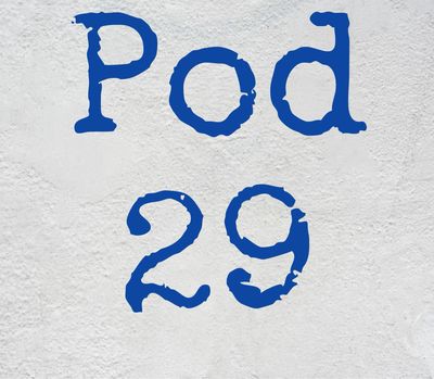Pod 29