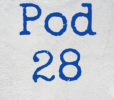 Pod 28