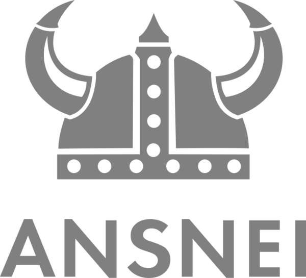 Ansnei WebShop