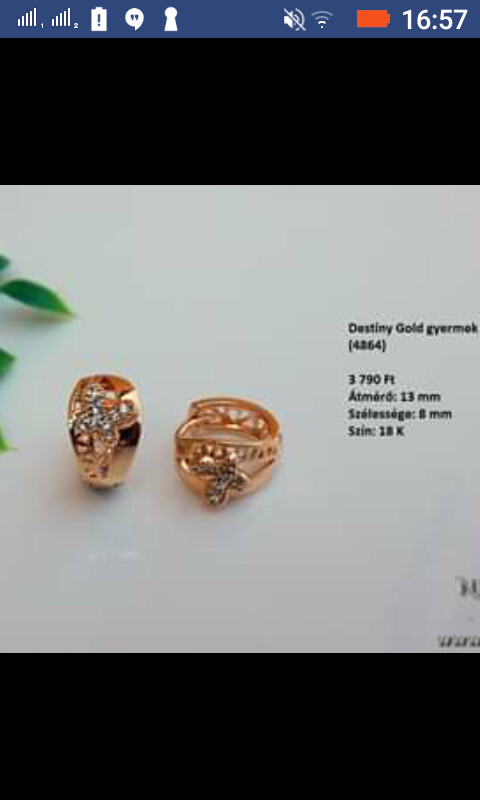 Gold Filled Earring