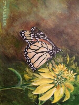 Butterfly 2 by John Hagel