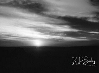 Black and White Sunset by Karen Bailey
