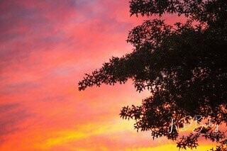 Philly Sunset by Karen Bailey