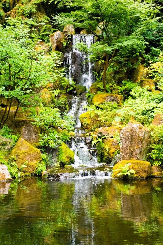 A Fall of Water by Linda Braceland