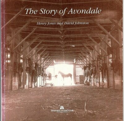 The Story of Avondale by Henry Jones and David Johnston