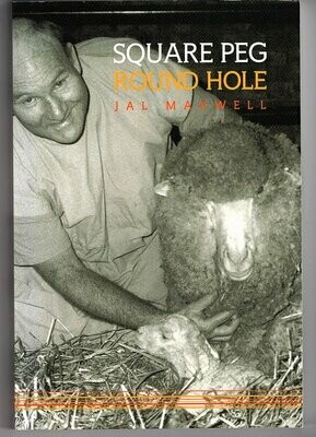 Square Peg Round Hole by Jal Maxwell
