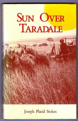 Sun Over Taradale by Joseph Placid Stokes