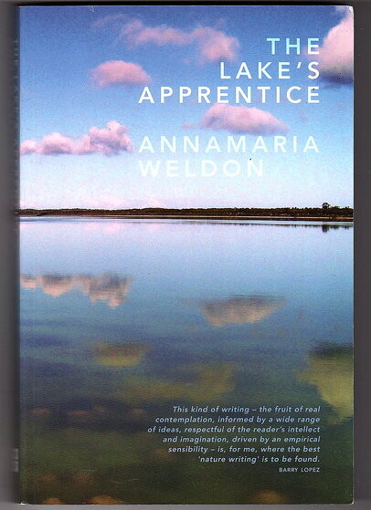 The Lake's Apprentice by Annamaria Weldon