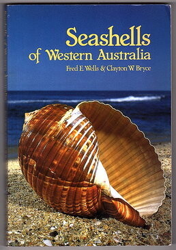 Seashells of Western Australia by Fred E Wells and Clayton W Bryce