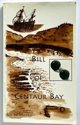 Bill of Centaur Bay by Joe W Harris