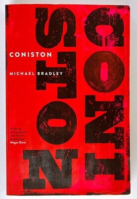 Coniston by Michael Bradley