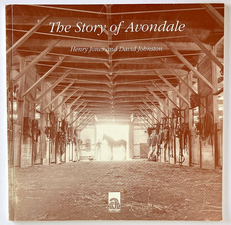 The Story of Avondale by Henry Jones and David Johnston