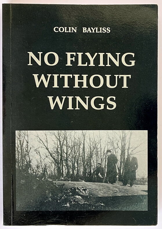 No Flying Without Wings by Colin Bayliss