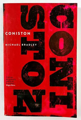 Coniston by Michael Bradley