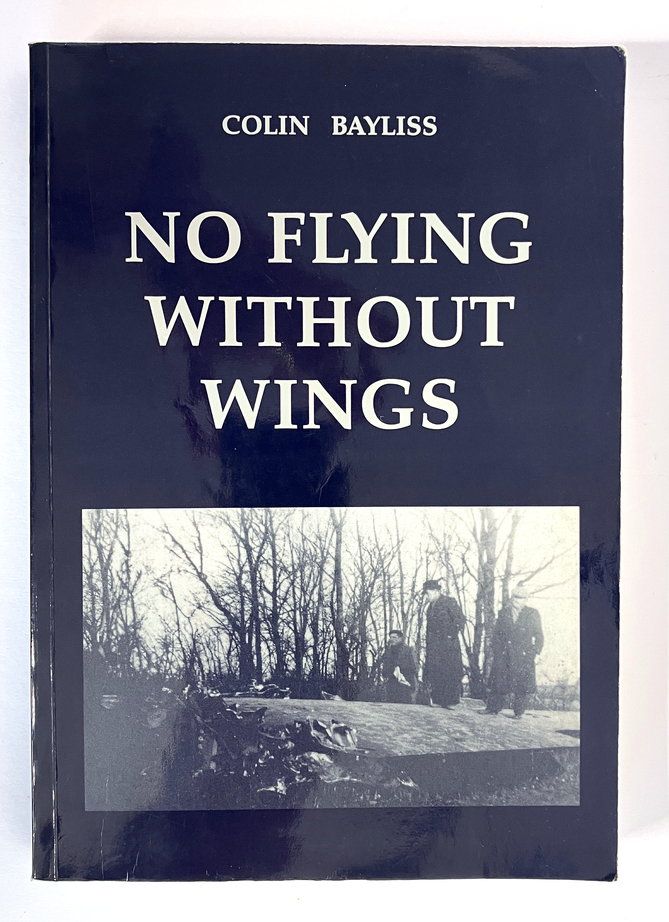 No Flying Without Wings by Colin Bayliss
