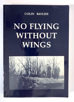 No Flying Without Wings by Colin Bayliss