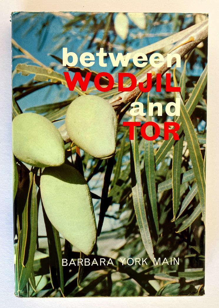 Between Wodjil and Tor by Barbara York Main