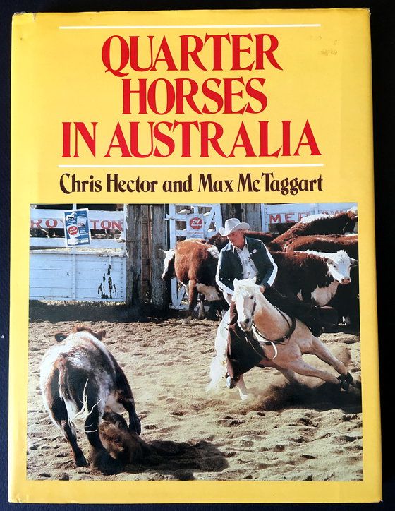 Quarter Horses in Australia