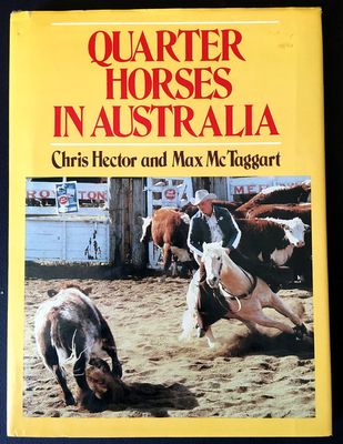 Quarter Horses in Australia