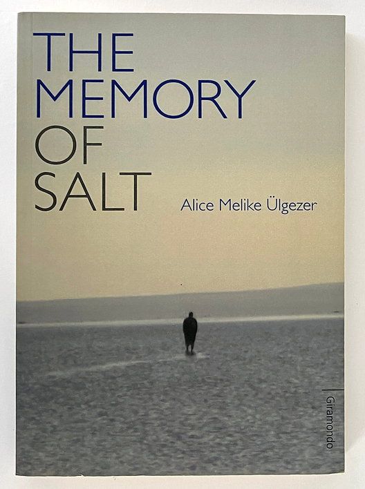 The Memory of Salt by Alice Melike Ulgezer