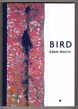 Bird by Adam Morris