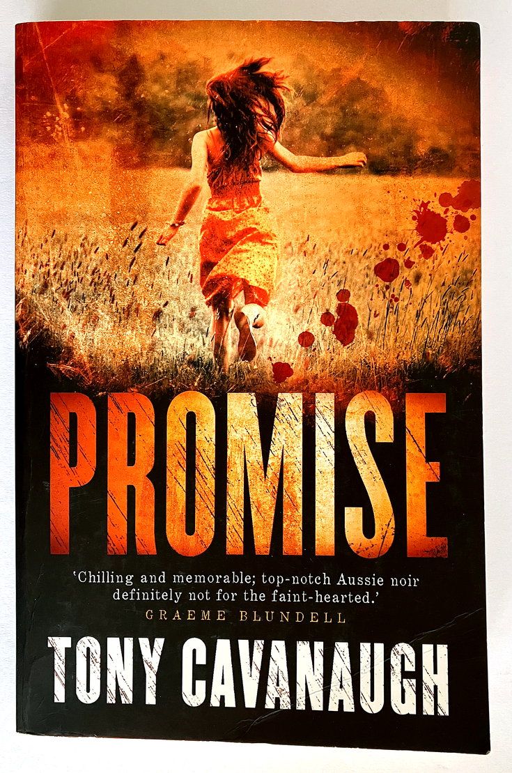 Promise by Tony Cavanaugh