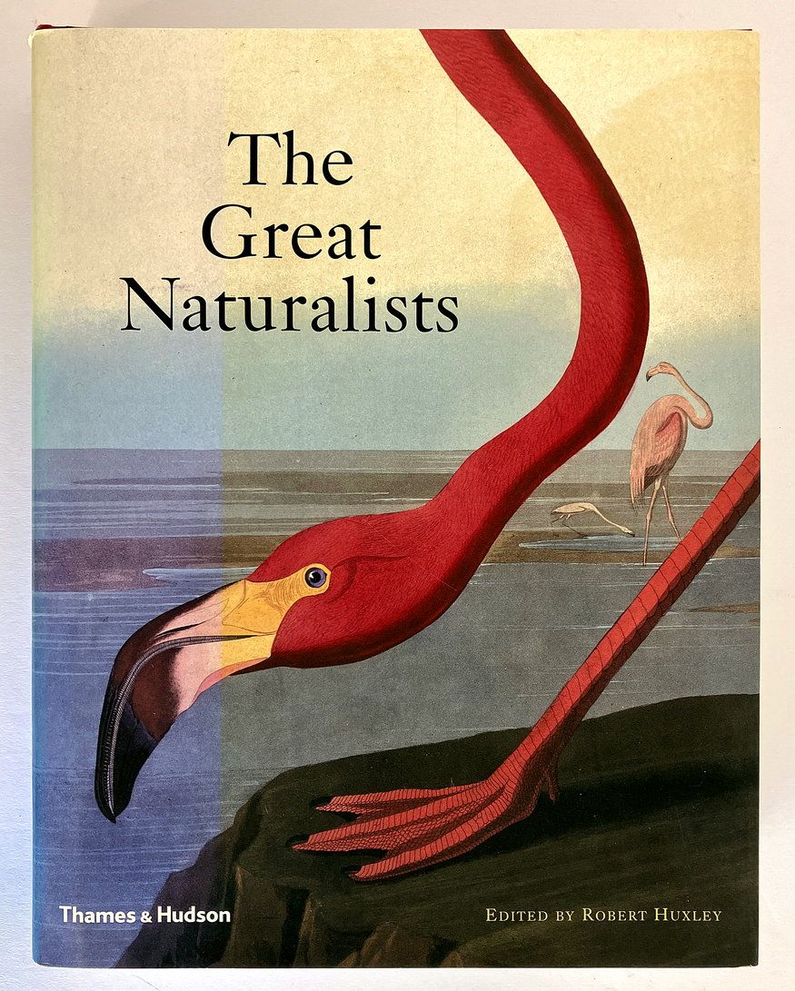 The Great Naturalists edited by Robert Huxley