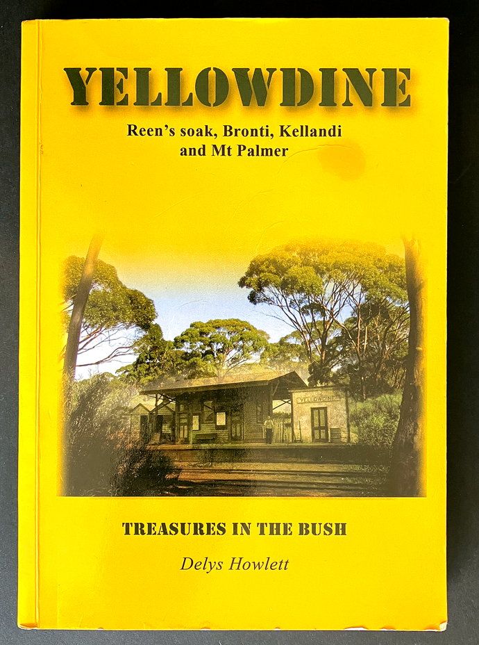 Yellowdine: Treasures in the Bush: Reen&#39;s Soak, Bronti, Kellandi and Mt Palmer by Delys Howlett