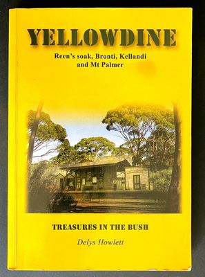 Yellowdine: Treasures in the Bush: Reen&#39;s Soak, Bronti, Kellandi and Mt Palmer by Delys Howlett