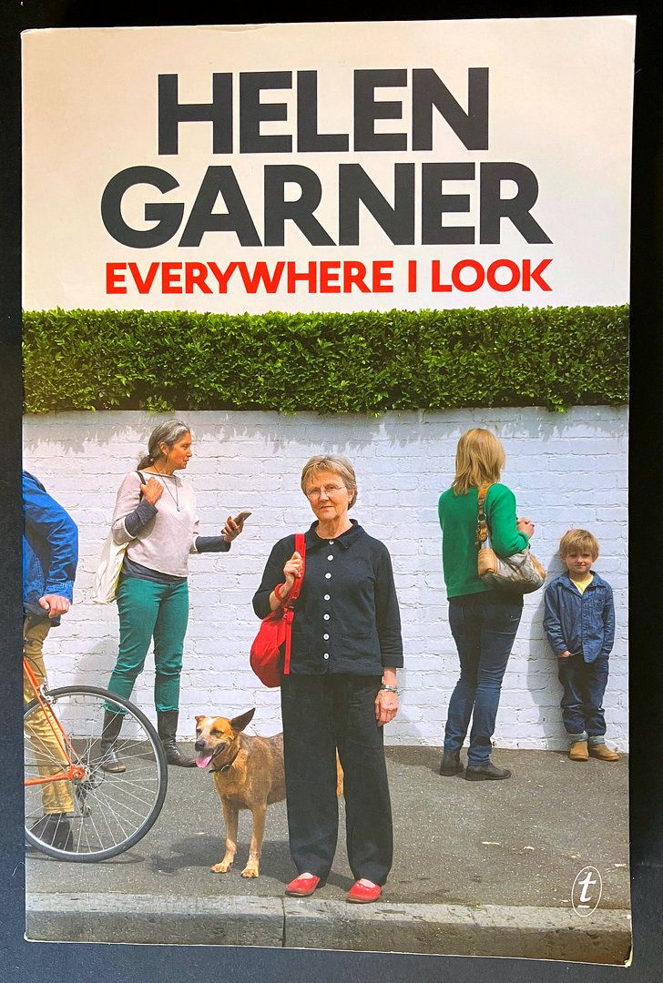 Everywhere I Look by Helen Garner