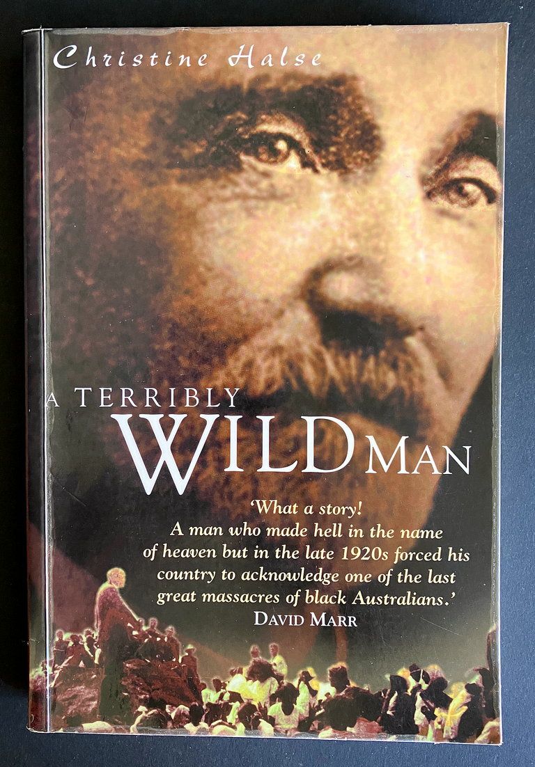 A Terribly Wild Man by Christine Halse