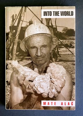 Into the World by Mate Alac̄