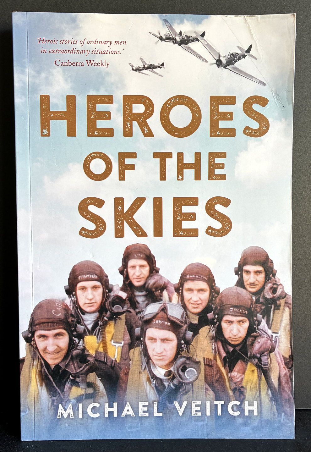 Heroes of the Skies by Michael Veitch
