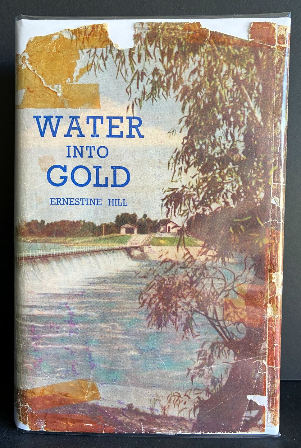 Water Into Gold: The Taming of the Mighty Murray River by Ernestine Hill