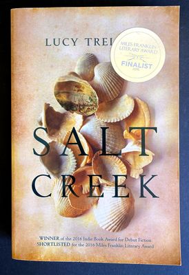 Salt Creek by Lucy Treloar