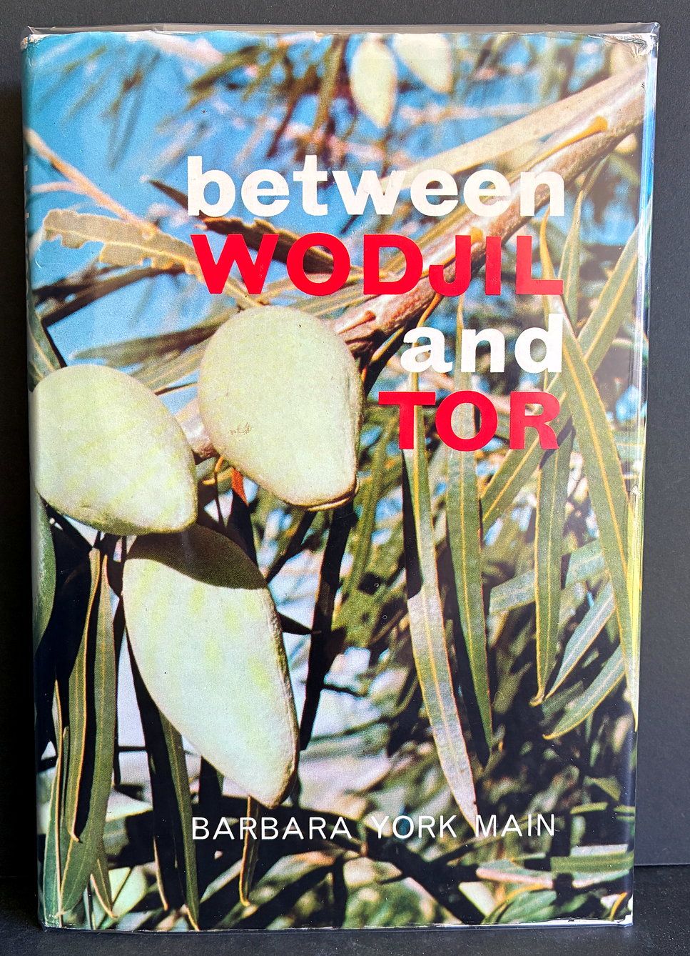 Between Wodjil and Tor by Barbara York Main