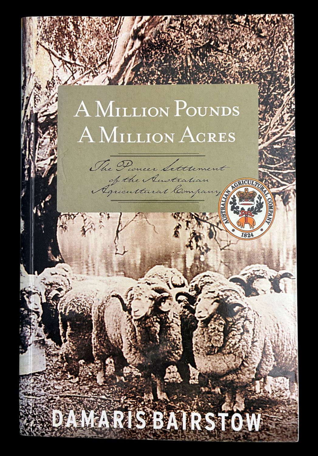 A Million Pounds, a Million Acres: The Pioneer Settlement of the Australian Agricultural Company by Damaris Bairstow