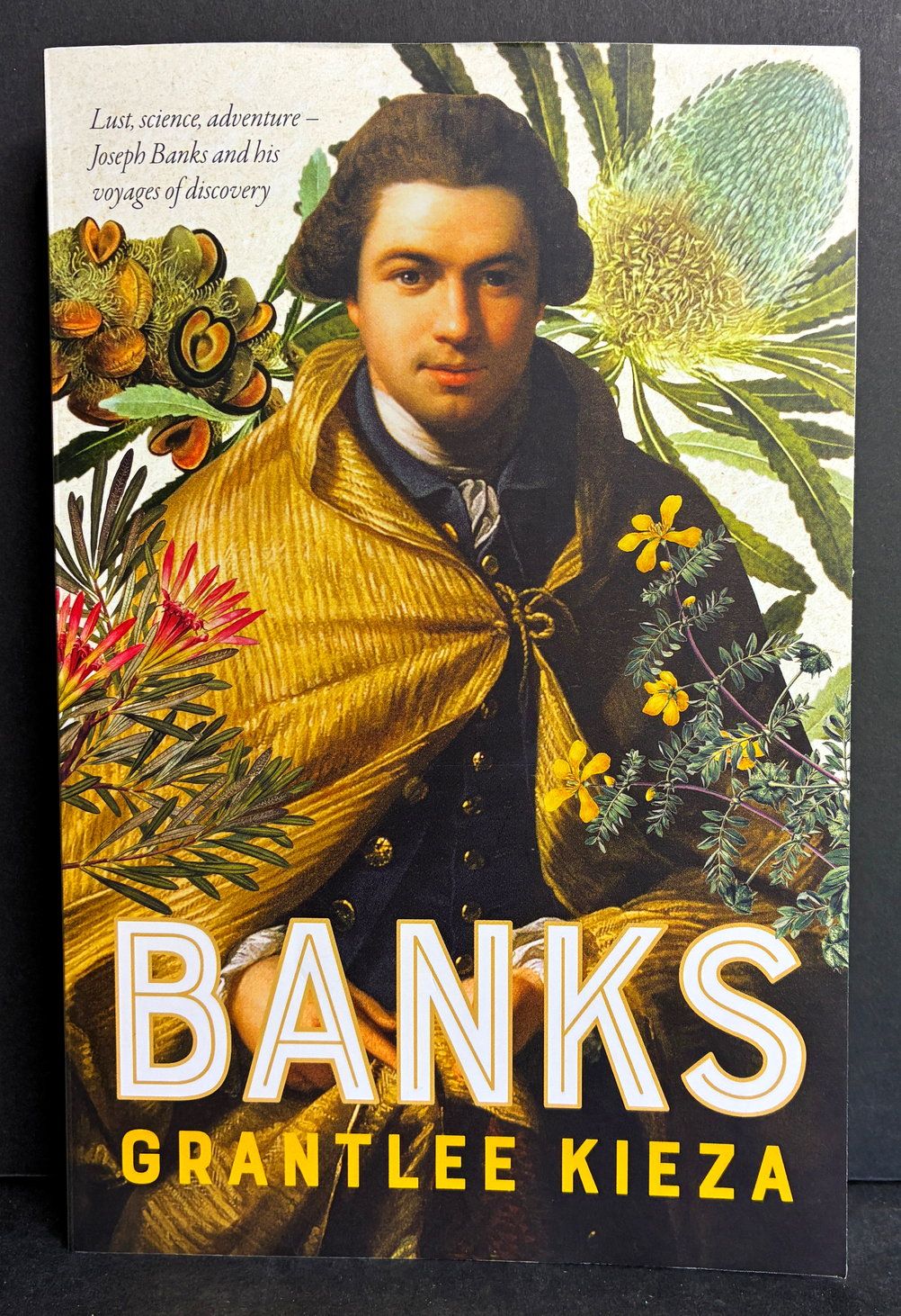 Banks by Grantlee Kieza