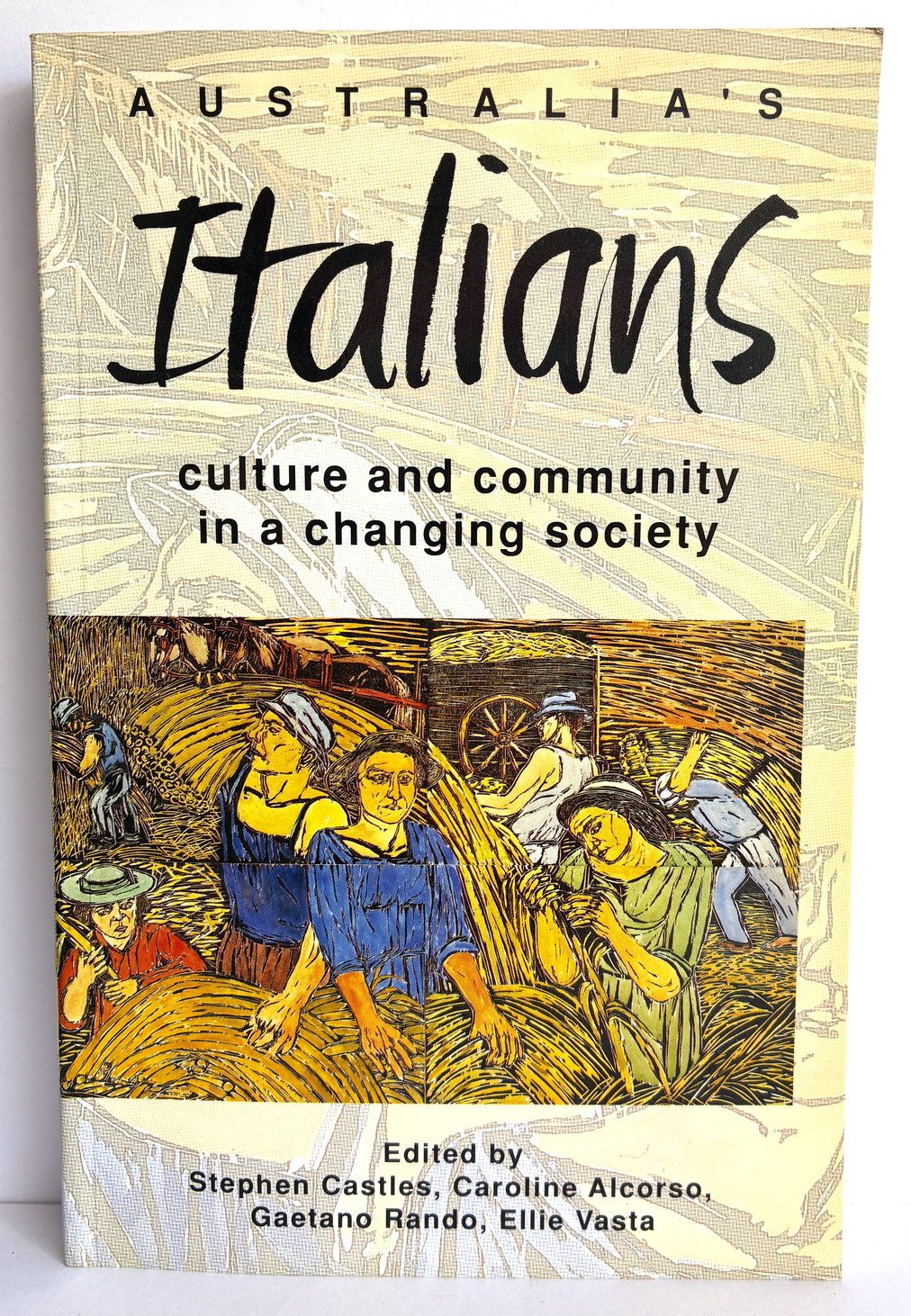 Australia's Italians: Culture and Community in a Changing Society by Stephen Castles et al