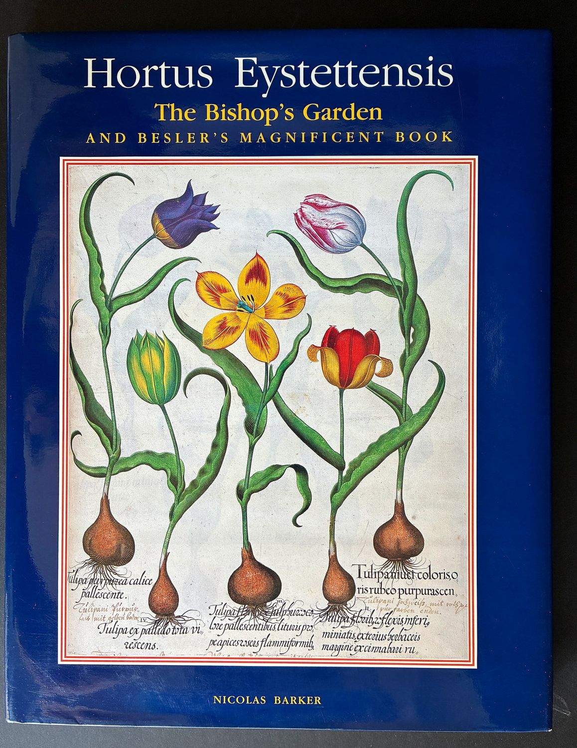 Hortus Eystettensis: The Bishop's Garden and Besler's Magnificent Book by Nicolas Barker