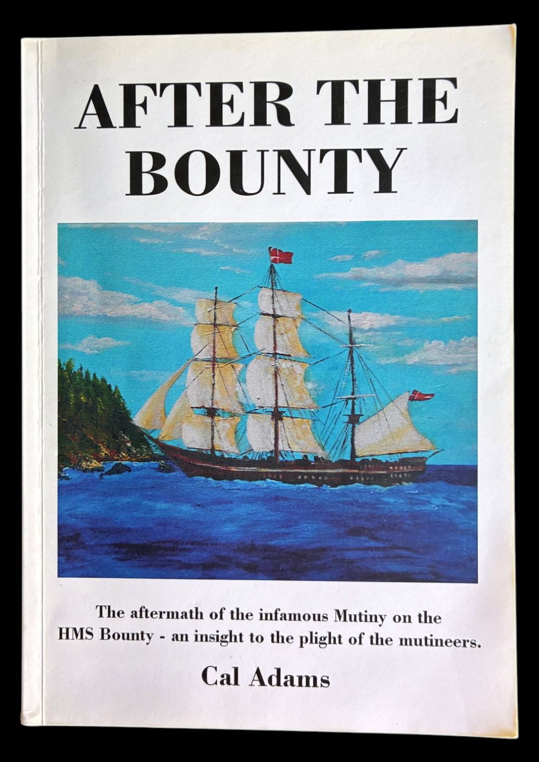 After the Bounty: The Aftermath of the Infamous Mutiny on the HMS Bounty - an insight to the plight of the mutineers by Cal Adams