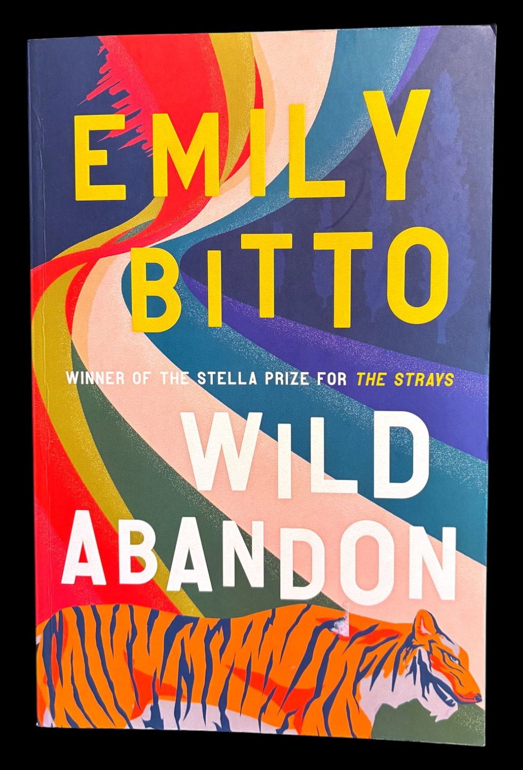 Wild Abandon by Emily Bitto